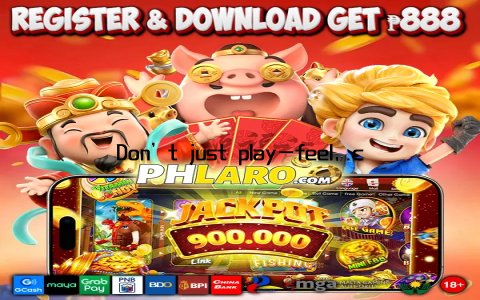 Don’t just play—feel, connect, and thrive at velobet Casino